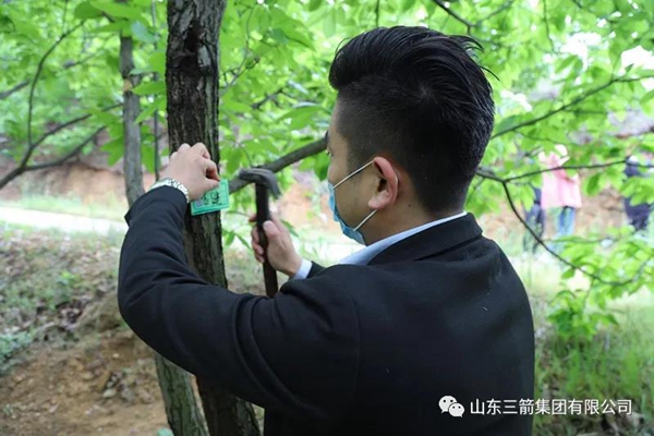 1589437313464888.jpg 6.jpg