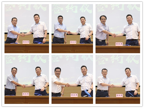 1597119214420473.jpg 7.jpg