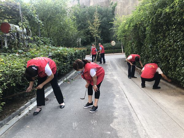 1656383885650081.jpg 04.jpg